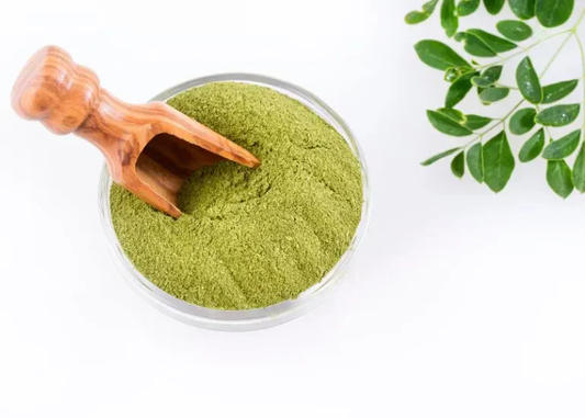 Moringa Powder Benefits for Men and Women: Why This “Miracle Tree” Is a Real Superfood