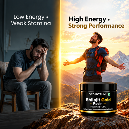Shilajit Gold Resin-25g | 75%+ Fulvic Acid