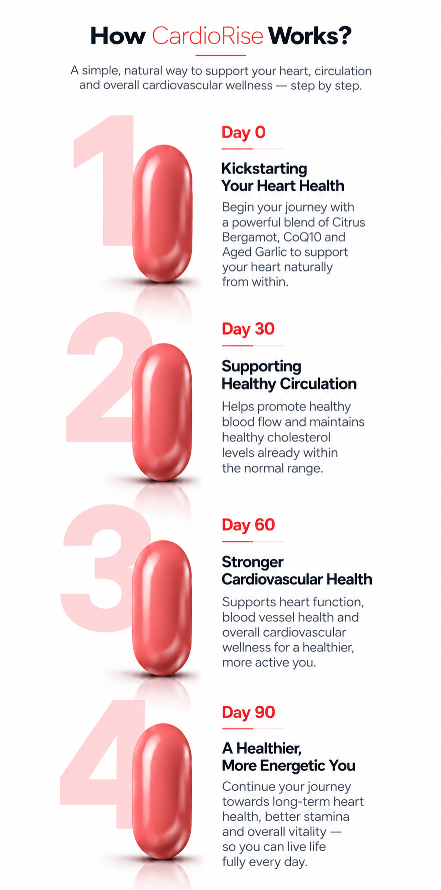 CardioRise | Citrus Bergamot, CoQ10 & Aged Garlic | Daily Heart Health & Cardiovascular Wellness Supplement | Vedantrum