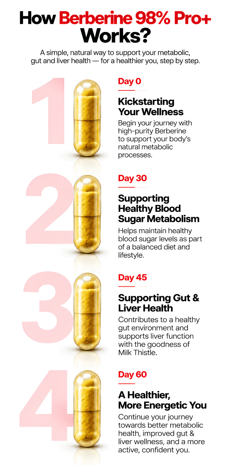 Berberine 98% with Milk Thistle | Blood Sugar, Gut Health & Metabolic Support