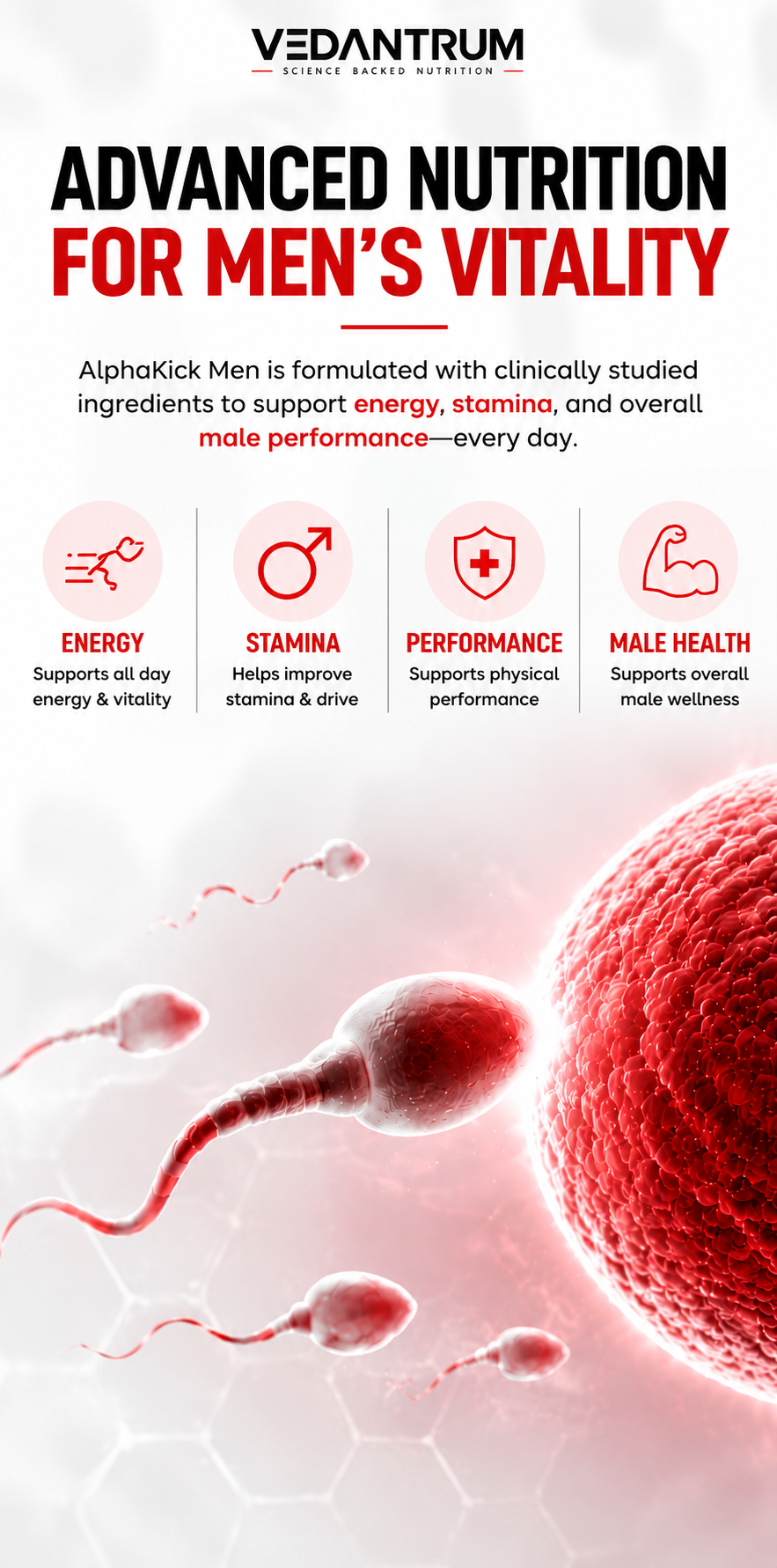 VigorCore (MEN) – Daily Men's Vitality & Performance Formula